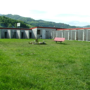 Residencia para perros